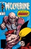 [title] - Wolverine (2nd series) #18