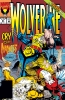 Wolverine (2nd series) #51 - Wolverine (2nd series) #51
