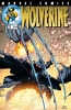 Wolverine (2nd series) #163 - Wolverine (2nd series) #163