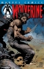 Wolverine (2nd series) #173 - Wolverine (2nd series) #173