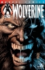 Wolverine (2nd series) #174 - Wolverine (2nd series) #174