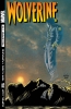 Wolverine (2nd series) #176 - Wolverine (2nd series) #176