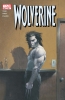 Wolverine (2nd series) #181 - Wolverine (2nd series) #181