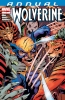Wolverine Annual (1st series) #1 - Wolverine Annual (2nd series) #1
