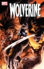 Wolverine (3rd series) #51 - Wolverine (3rd series) #51