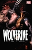 Wolverine (3rd series) #52 - Wolverine (3rd series) #52