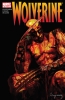 Wolverine (3rd series) #61 - Wolverine (3rd series) #61