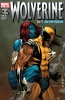 Wolverine (3rd series) #62 - Wolverine (3rd series) #62
