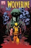 Wolverine (4th series) #307