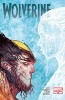 Wolverine (4th series) #317